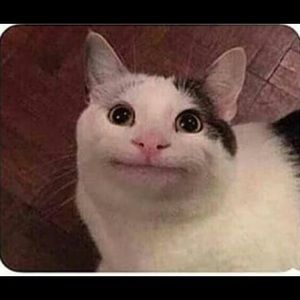 Meet your Posher, Tucker